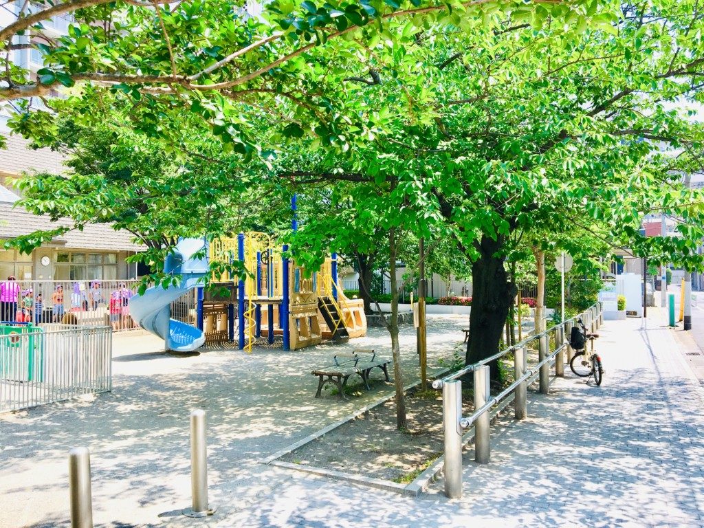 園内道路際にある存在感のある桜の木