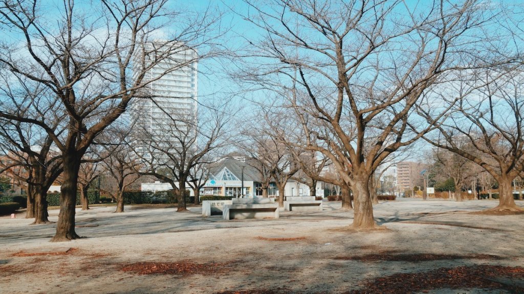 木場公園バーベキュー広場