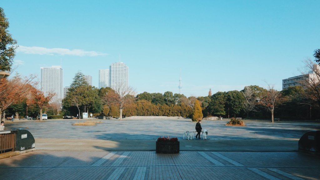 木場公園