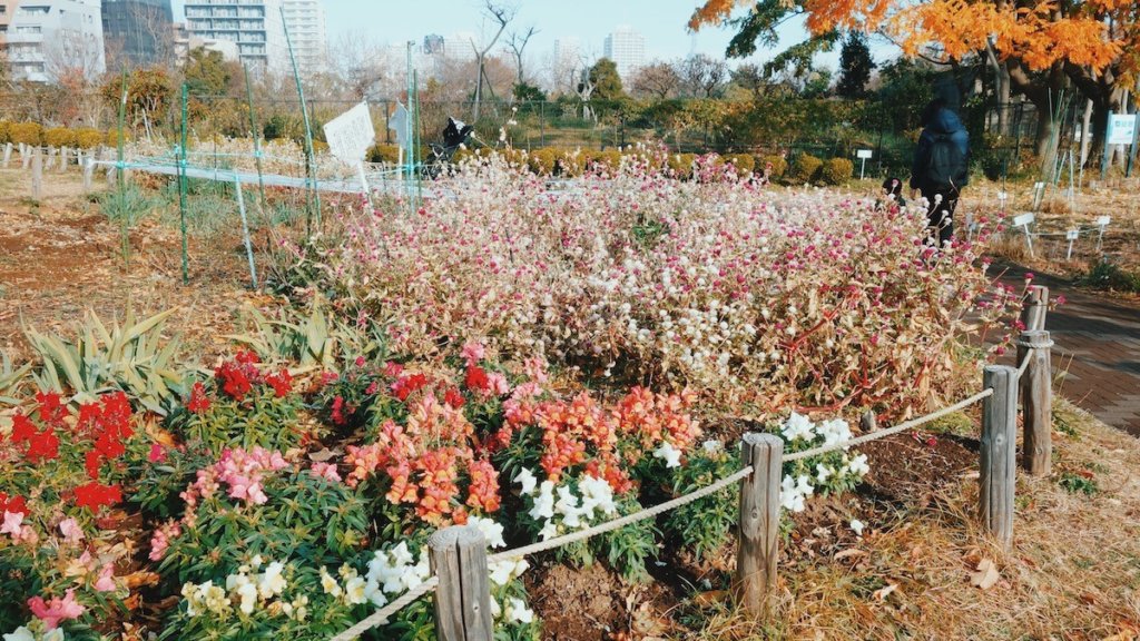 木場公園内都市緑化植物園