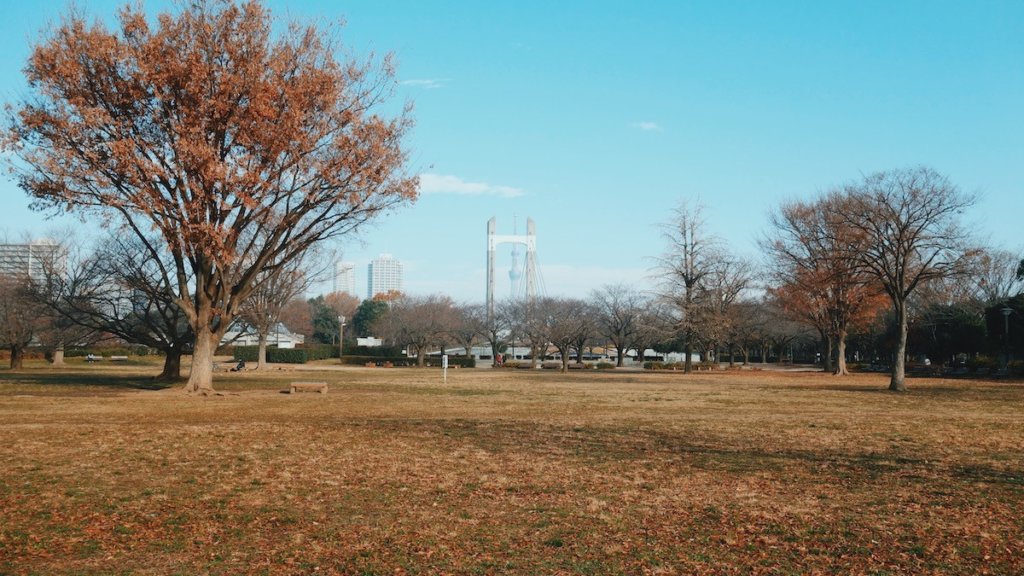 木場公園ふれあい広場
