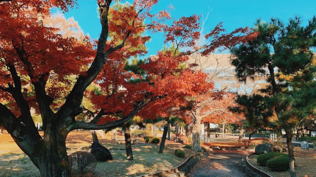 清澄公園の紅葉
