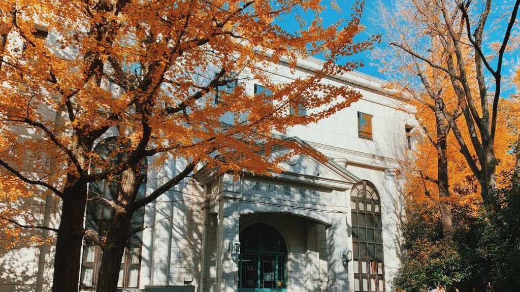 清澄公園近隣の深川図書館