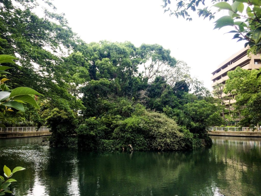 緑豊かな横十間親水公園内にある小島