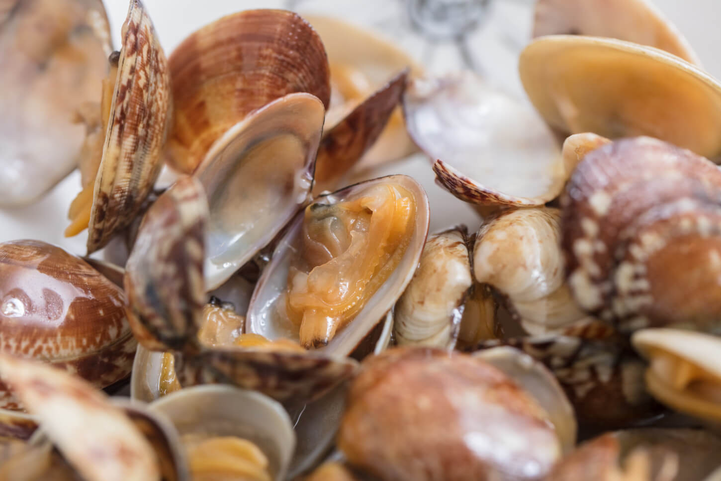 深川めしのあさり