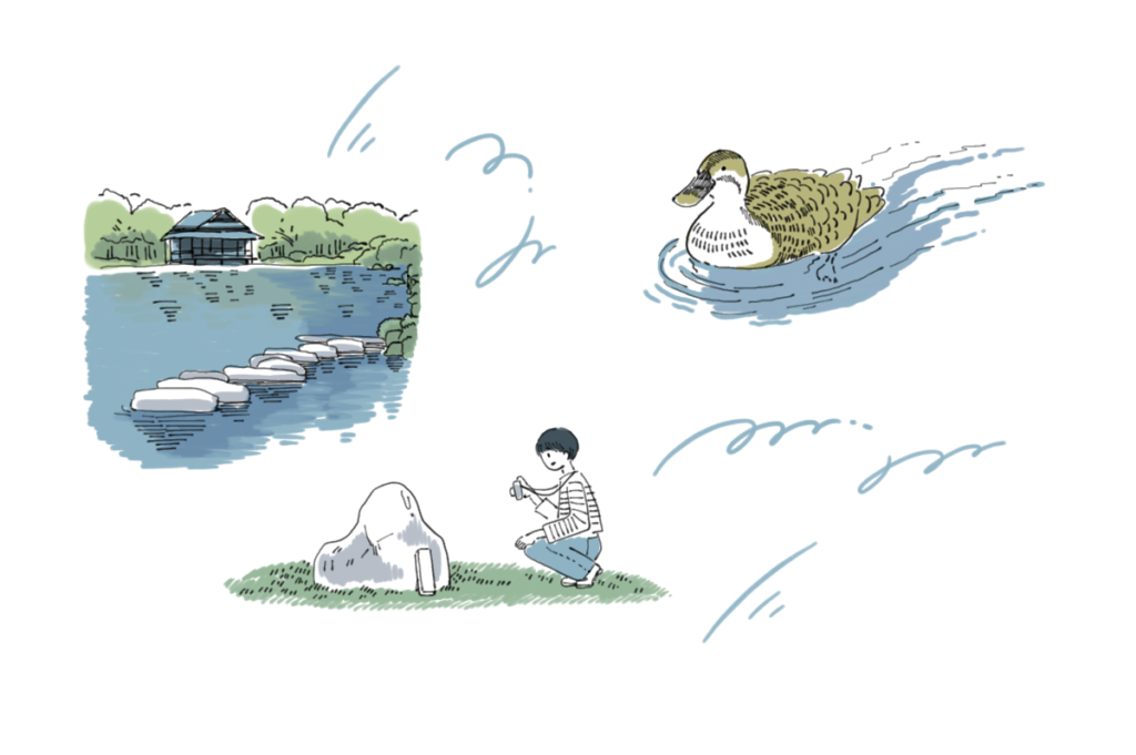 清澄庭園のイラスト