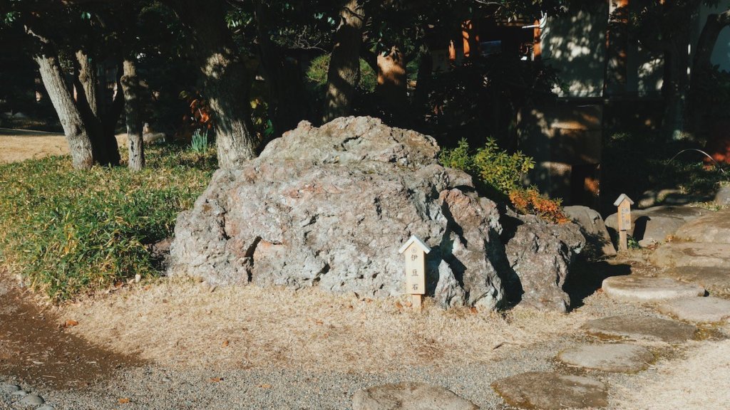 庭園内の石