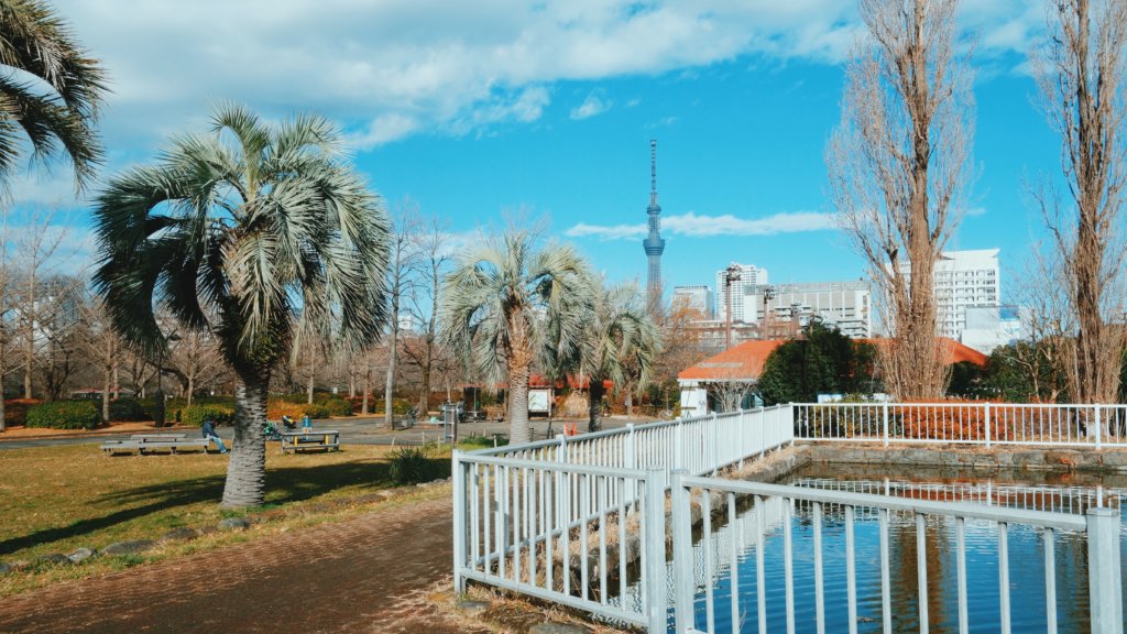 猿江恩賜公園内のヤシの木