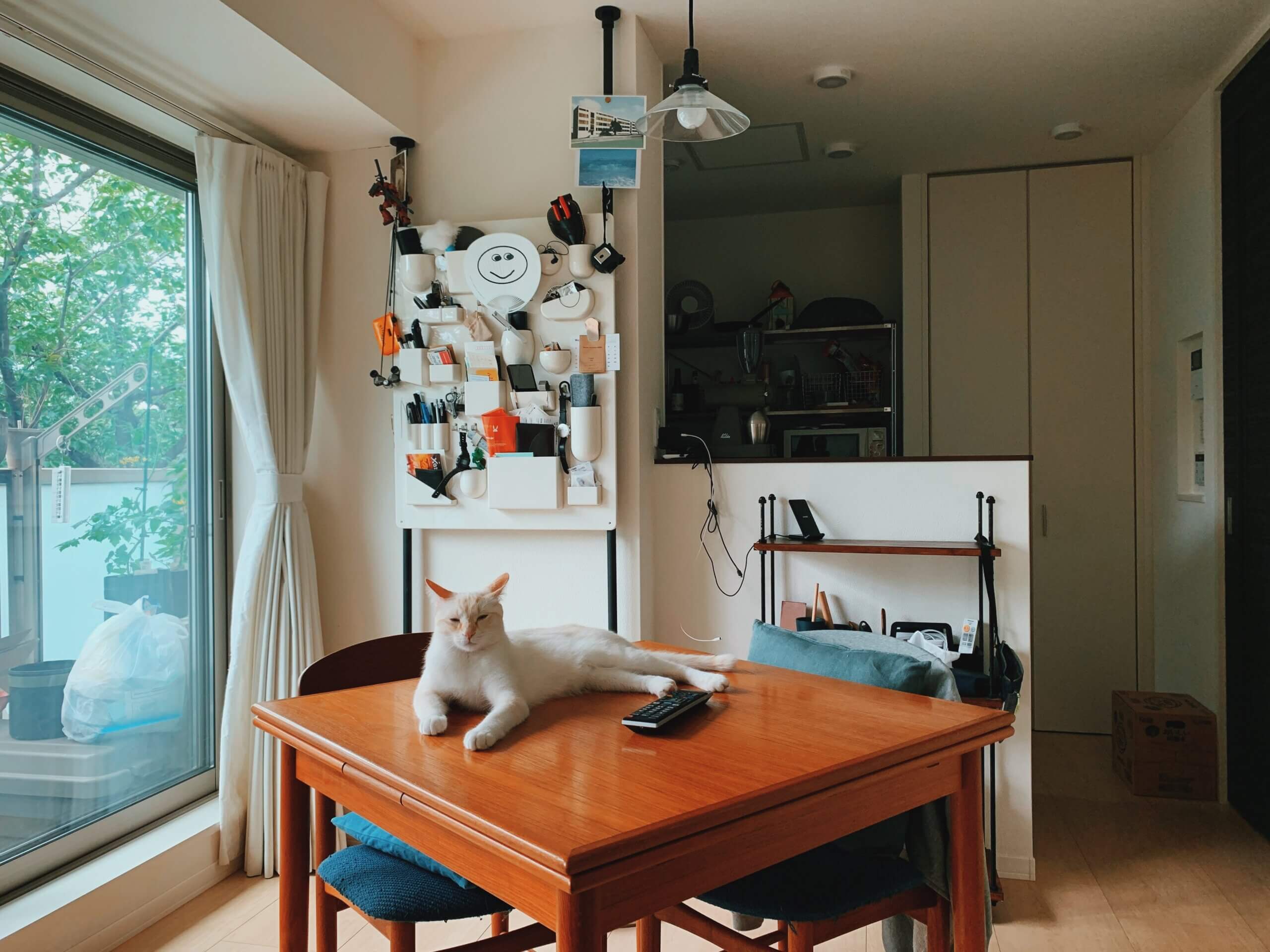 猫と一緒に暮らしていた賃貸アパート