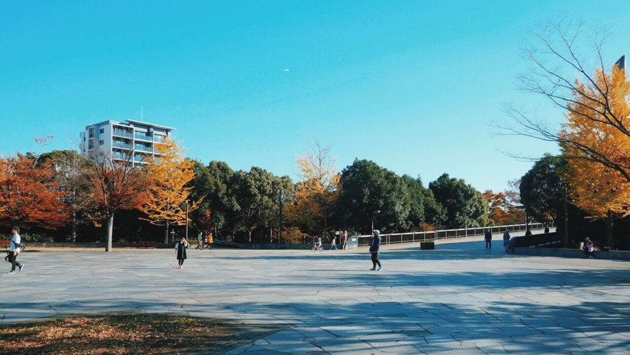 深川の代表的な公園、木場公園