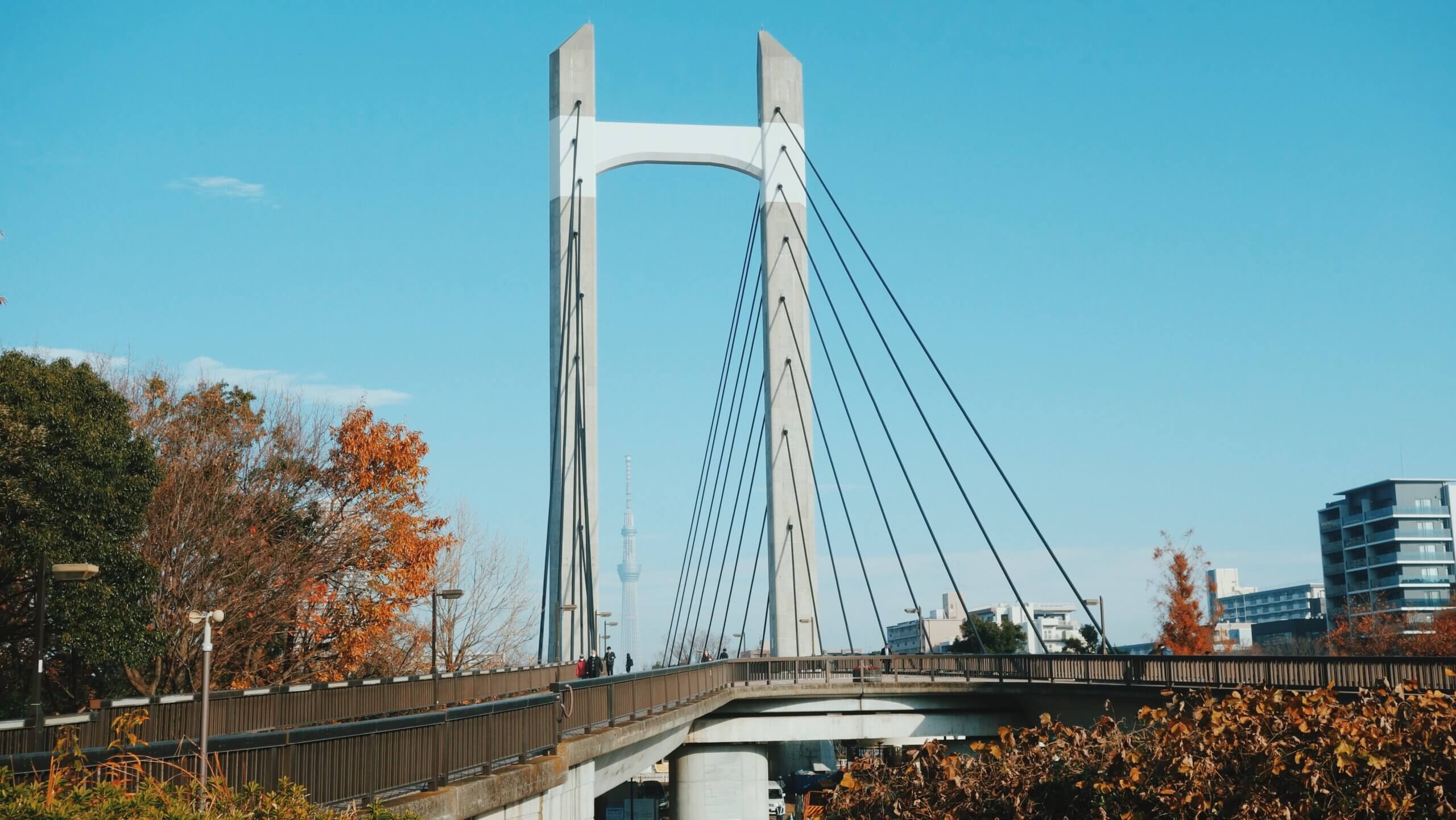 近くの木場公園