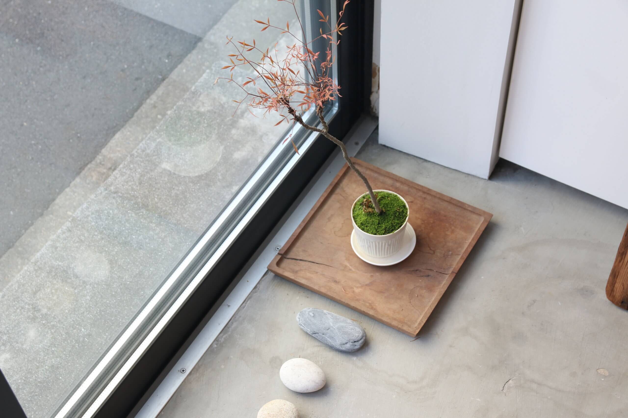 清澄白河と森下の間にある雑貨屋:店内窓際に置く植物