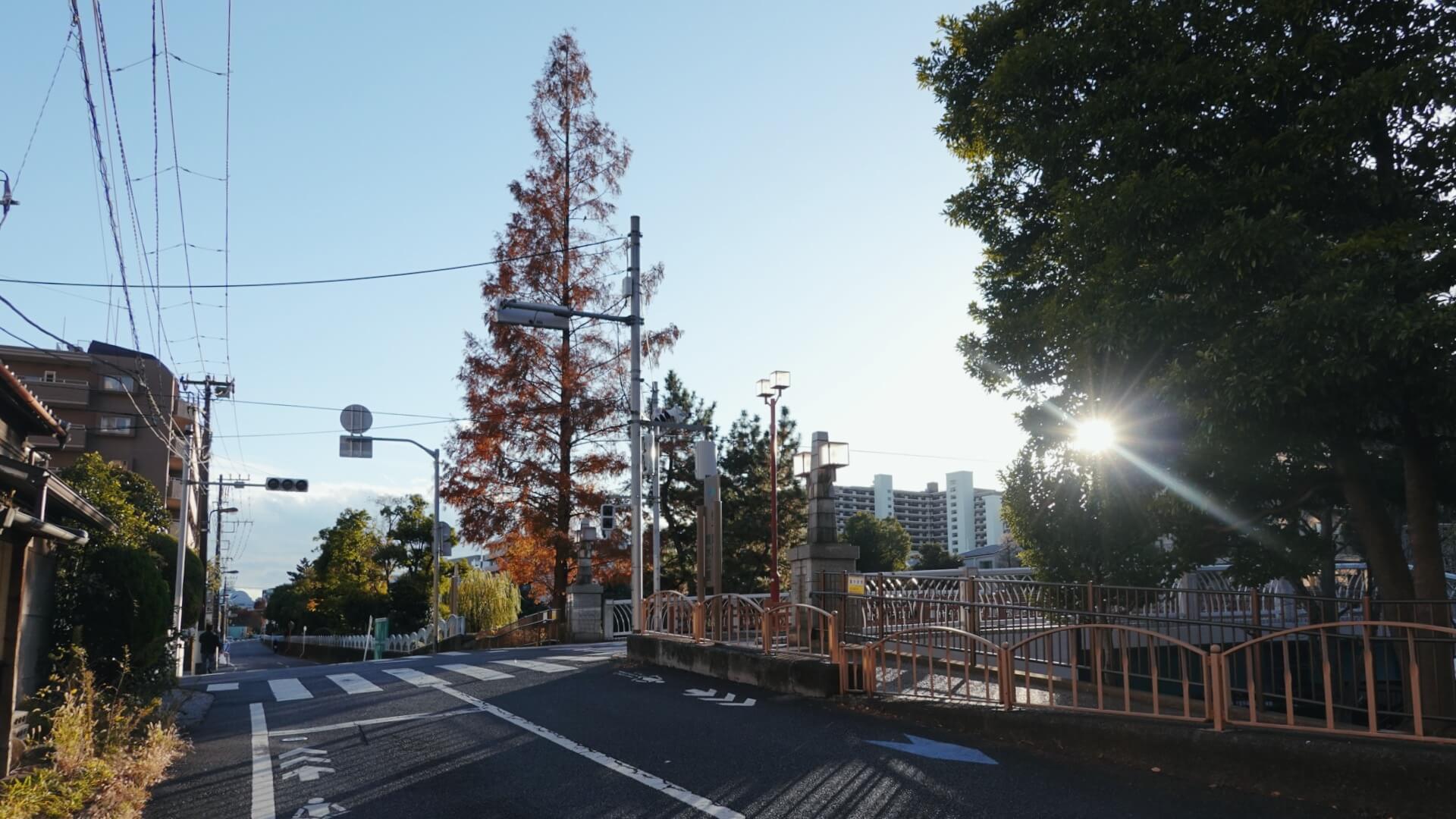 マンション周辺の風景
