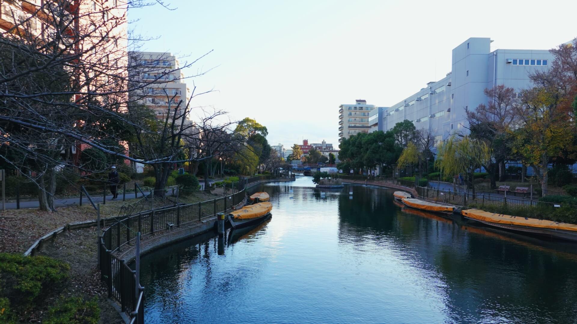 マンション目の前の横十間川親水公園