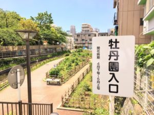 牡丹園入り口看板