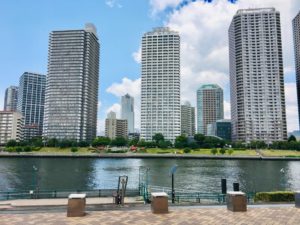 公園側から見る佃島のタワマン群