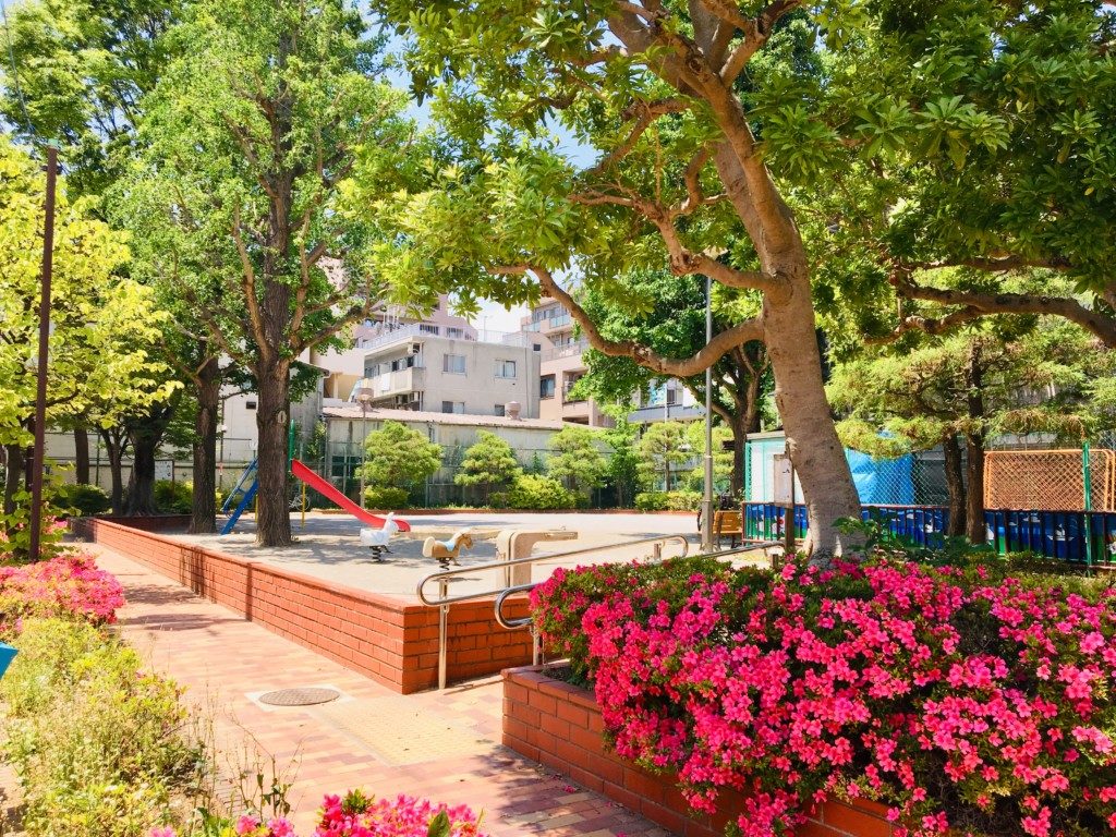 公園内は赤いつつじの花が咲いていて綺麗