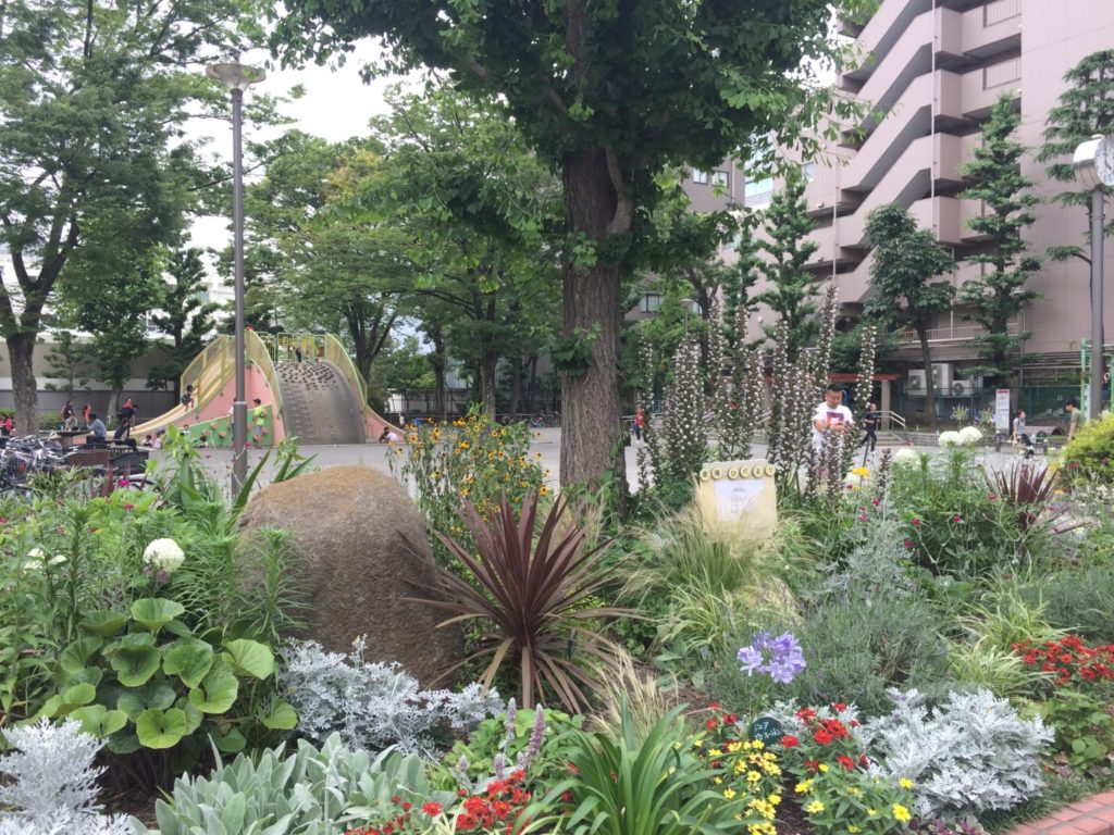 園内の植物たち